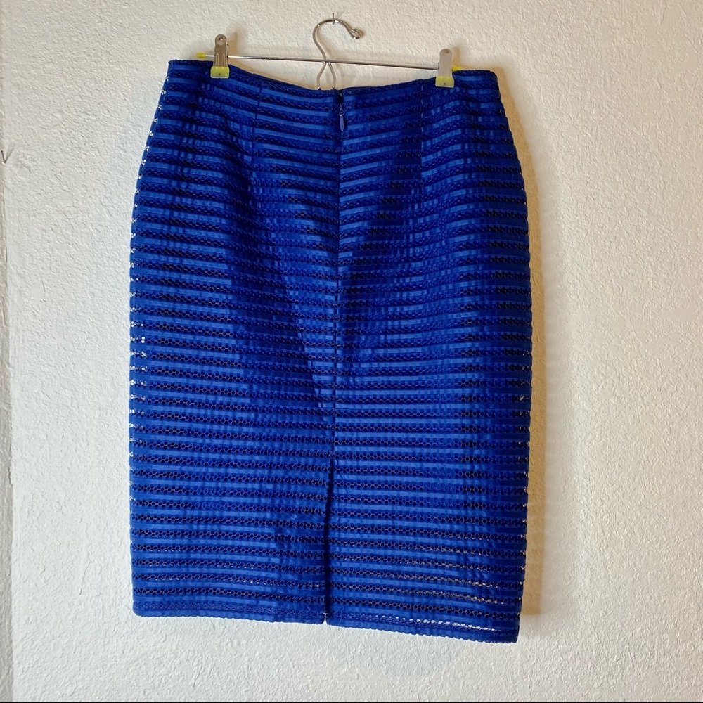 New York & Company Royal Mesh-Stripe Pencil Skirt - Picture 5 of 9